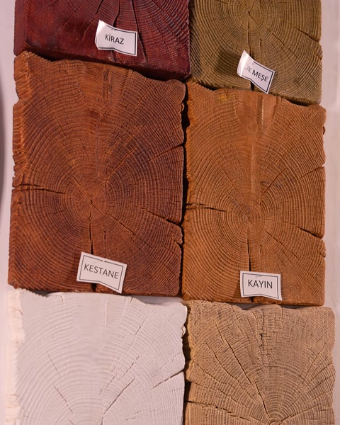 Mostre decorative cu textură de trunchi și culori naturale