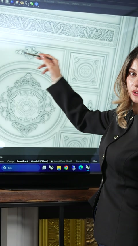 Proiect digital pentru panouri clasice cu rozete și chenare ornamentale