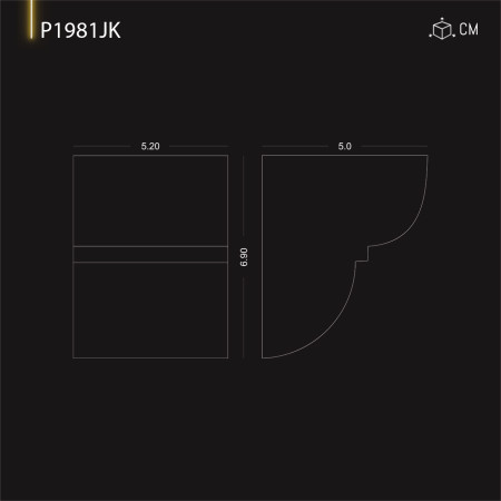 P1981JK Catalog de coltar din spumă rigidă poliuretanică aspect lemn